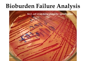 Bioburden Failure Analysis 300x213 Bioburden Failure Analysis