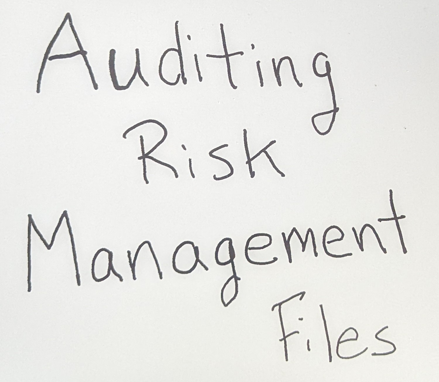 PXL 20221101 183748328 Auditing Risk Management Files