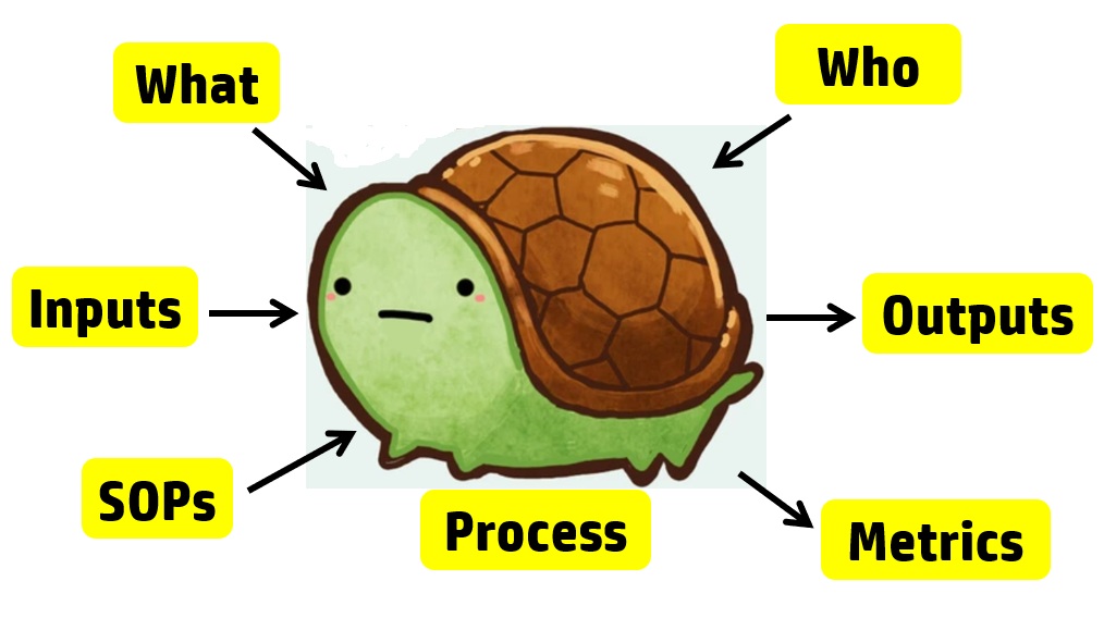Turtle Diagram Process Approach to Auditing